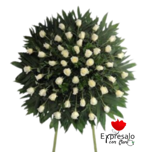 Medallón De Condolencias con 50 rosas ecuatorianas