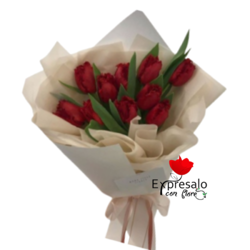 Ramo de 10 tulipanes Rojos