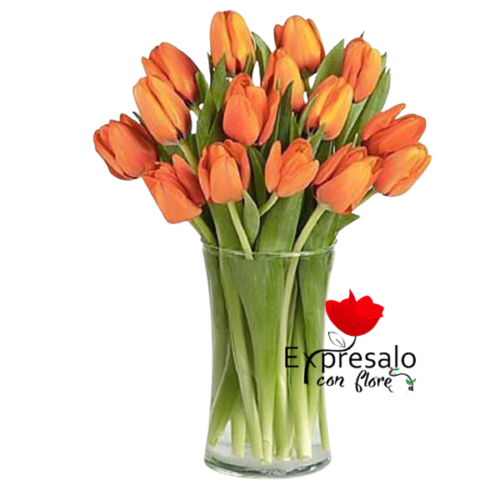 Florero con 20 Tulipanes Naranjos