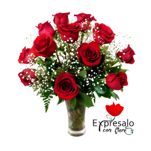 Florero Con 12 Rosas y Gipsofilia