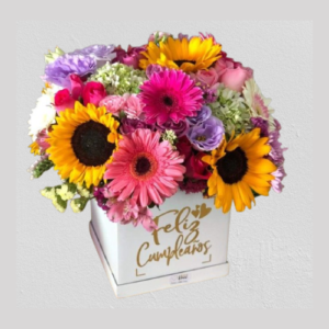 Box mix de flores.