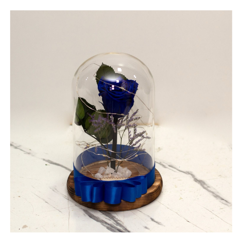 Rosa azul preservada