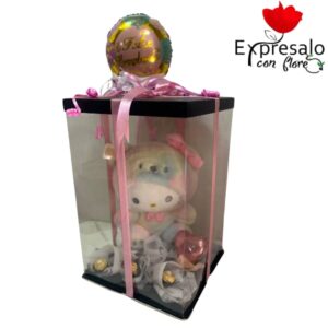 Caja con visor panoramica con peluche 40 cm, 6 chcolates fererros y globo