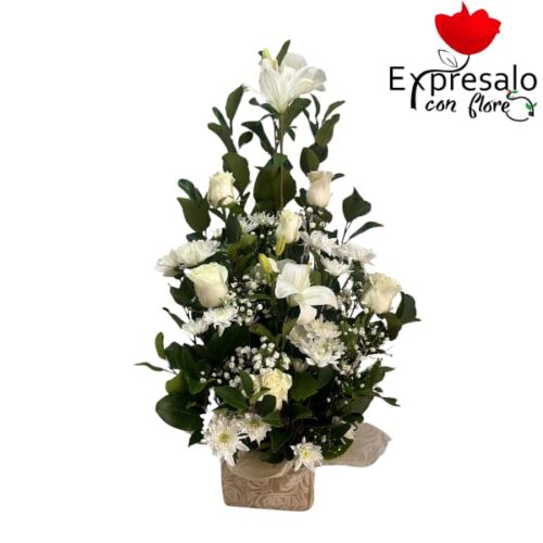 Arrimoi en flores blancas
