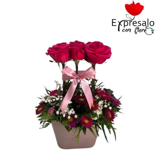 box con 6 rosas y maule de colores
