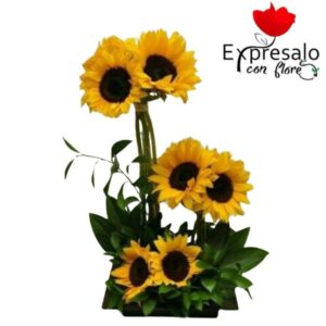 Arreglo con agrupacion de girasoles y variedad de follaje