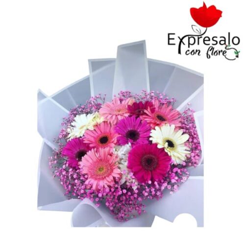 Ramo de gerveras color lavanda y gisophilia color fucsia envuelto con papel fino