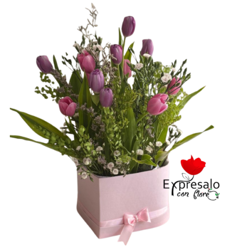 Jardín de Tulipanes en Box