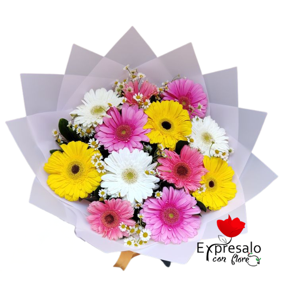 Ramo de 10 Gerberas Surtidas.