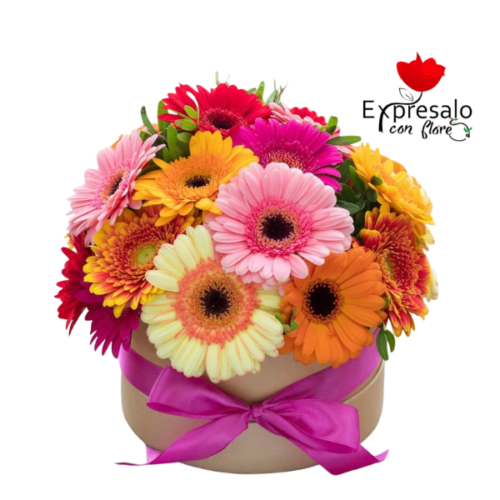 Box con 15 Gerberas Primaverales