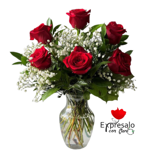 Florero con 6 Rosas