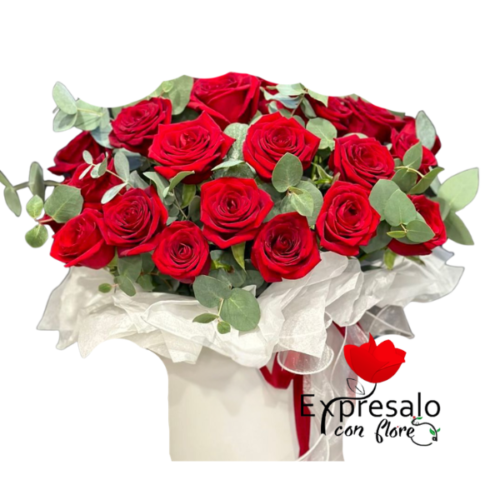 Box con 20 Rosas Rojas