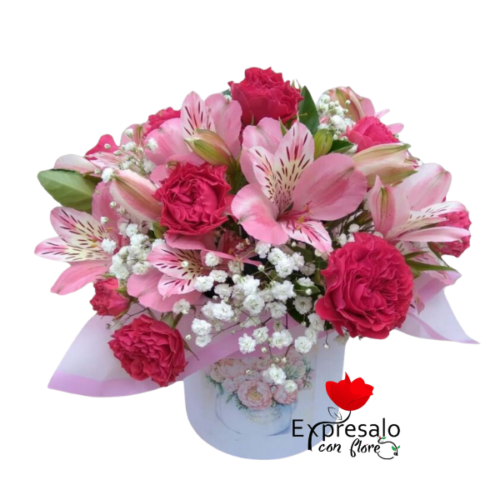 Box de Claveles y Astromelias