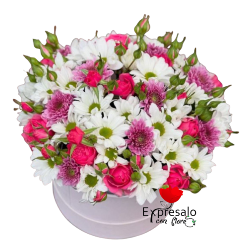 Box de margaritas y mini rosas