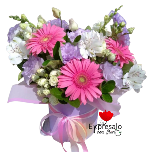 Box con Gerberas