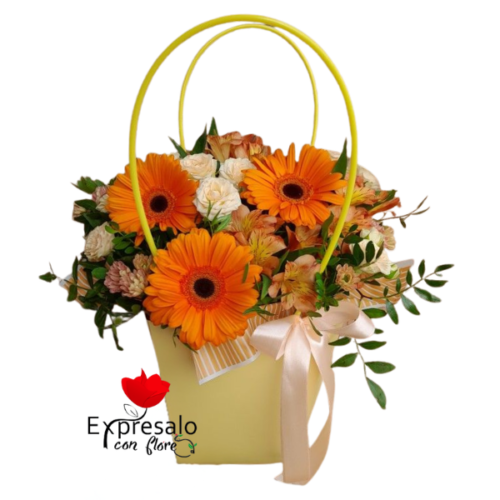 Cartera en Tonos Naranjas