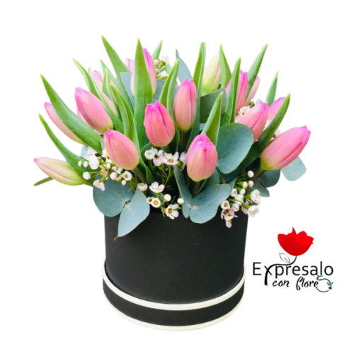 Box de 10 Tulipanes