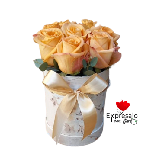 Box Con Rosas Damasco