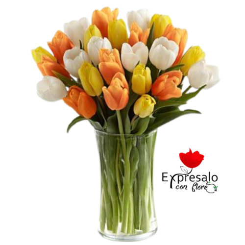 Florero con 30 Tulipanes