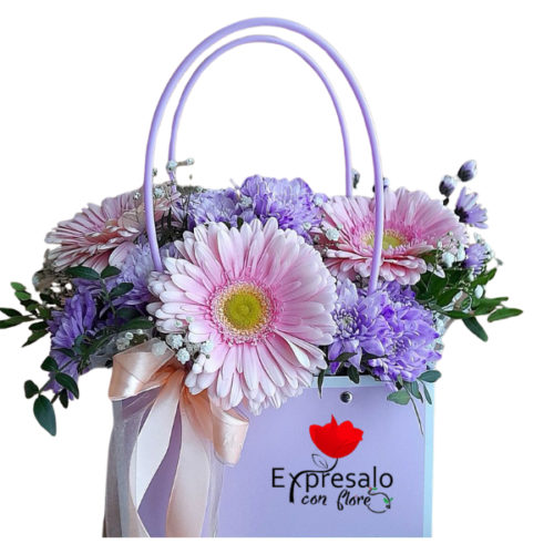 Cartera en Tonos Pasteles