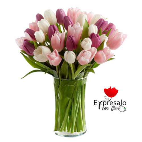 Florero con 30 Tulipanes en Tonos Rosados