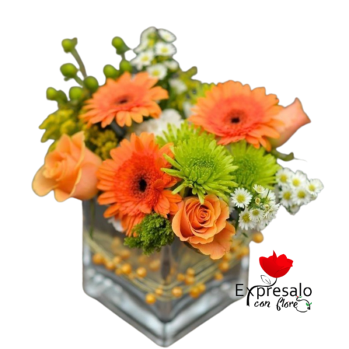 Cubo en Gerberas Naranjas