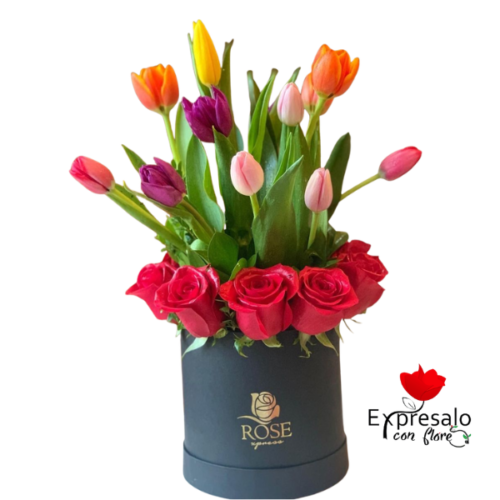 Fino Box De Rosas y Tulipanes