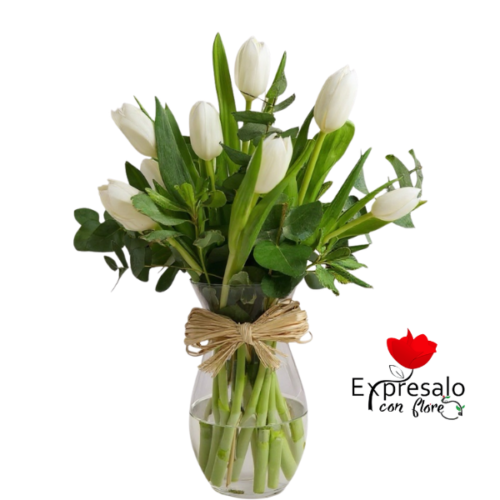 Tulipanes Blancos en Florero