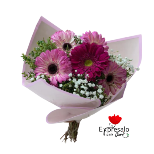 5 Gerberas en Ramo