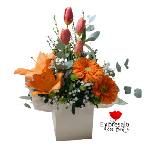 Box Primaveral Naranja