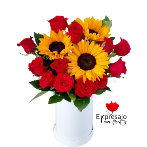 Rosas Rojas y Maravillas en Box