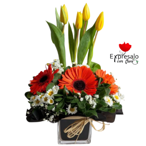 Cubo en Tulipanes y Gerberas