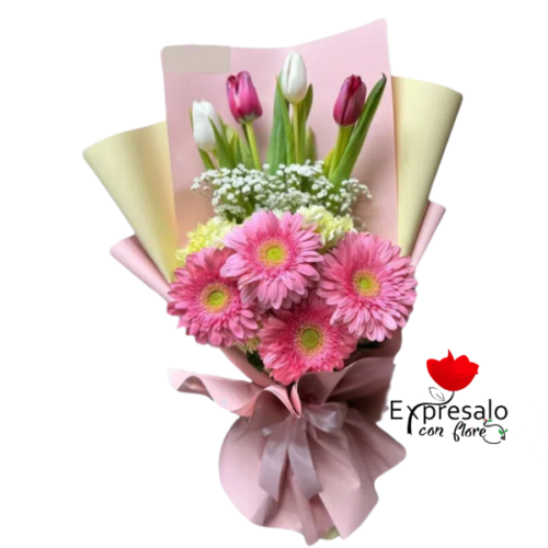 Gerberas y Tulipanes
