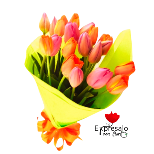 15 Tulipanes en Ramo