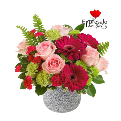 Box Explosión de Color