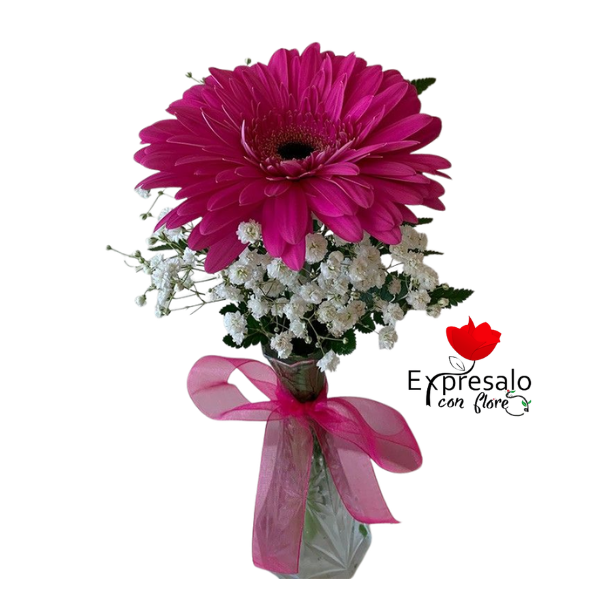 Florerito con Gerbera