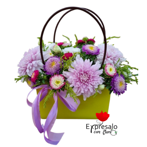 Cartera Floral en Maule