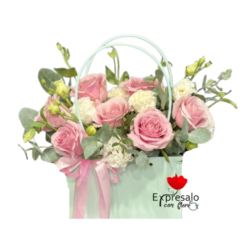 Cartera en Tonos Pasteles