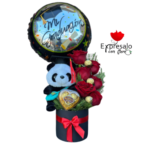 Arreglo de Graduacion