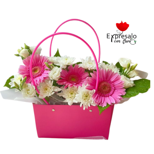 Cartera con maule y Gerberas