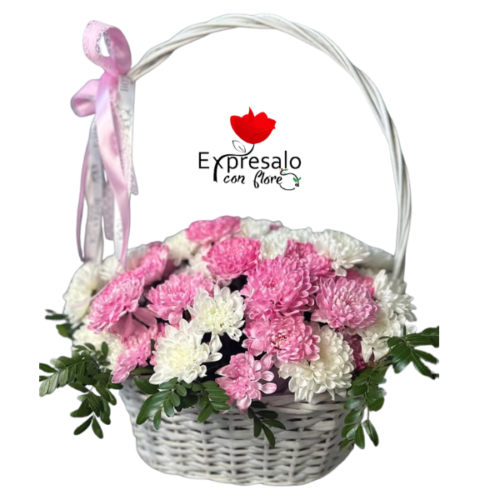 Canasto en Maule Bicolor