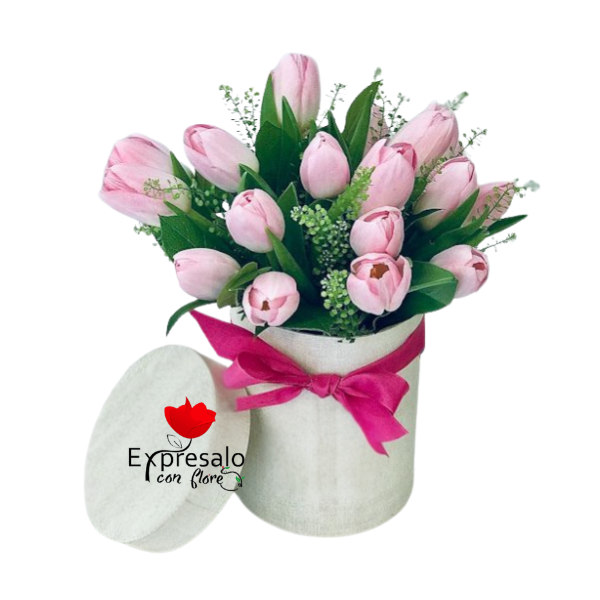 Box de 10 tulipanes