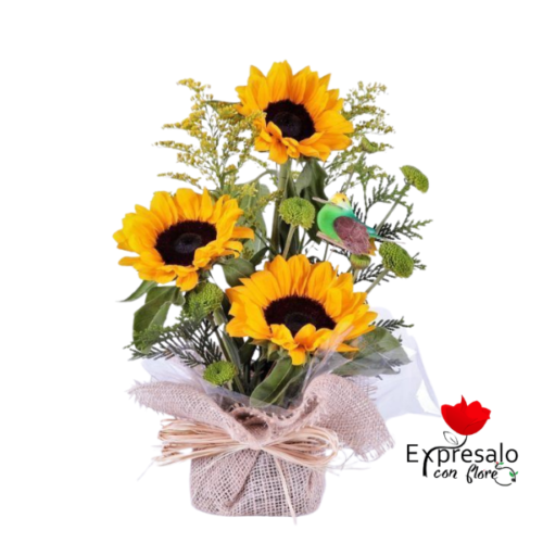 Arreglo con 3 Girasoles