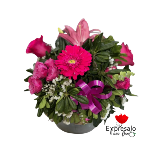 Fina Pecera Primaveral