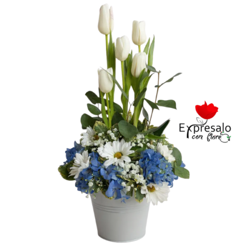 Balde Con Tulipanes Blancos