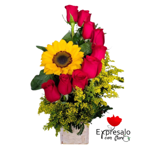 Rosas Rojas en Escala Con Girasol