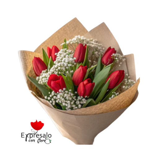 Tulipanes Rojos en Ramo