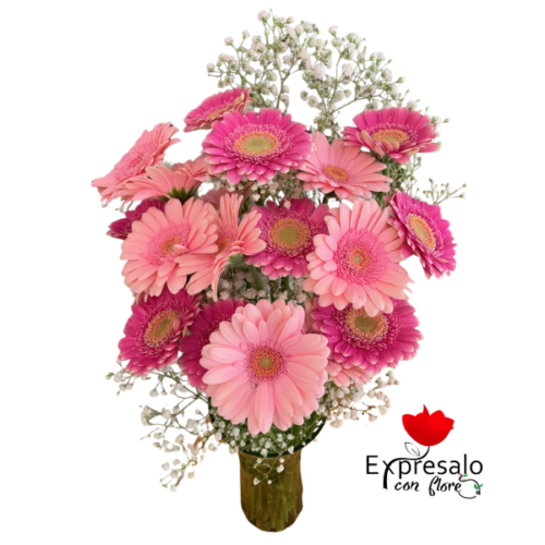 Florero Con 20 Gerberas