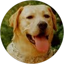 Pedro Pablo Galaz Bonard profile picture