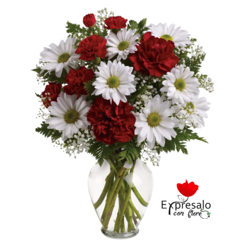 Florero con Margaritas y Claveles